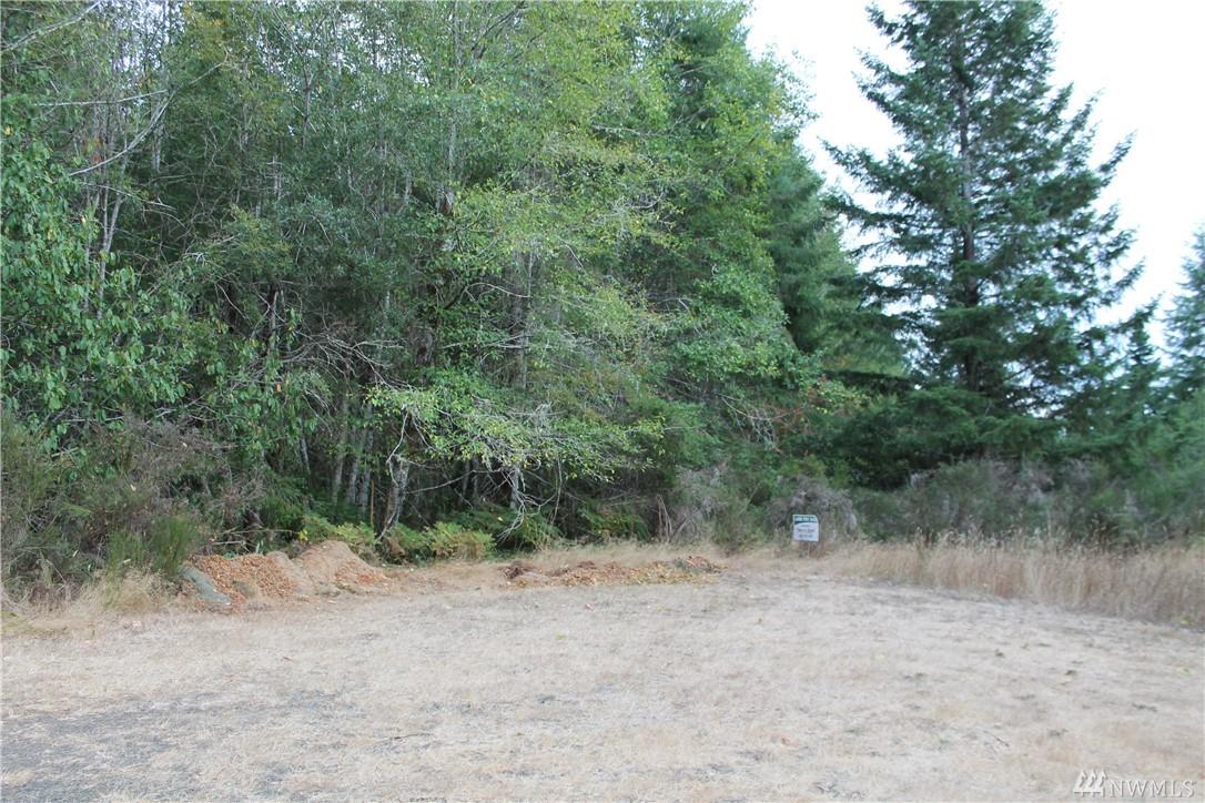0-Lot 4 Olde Bell Rd - Photo 1