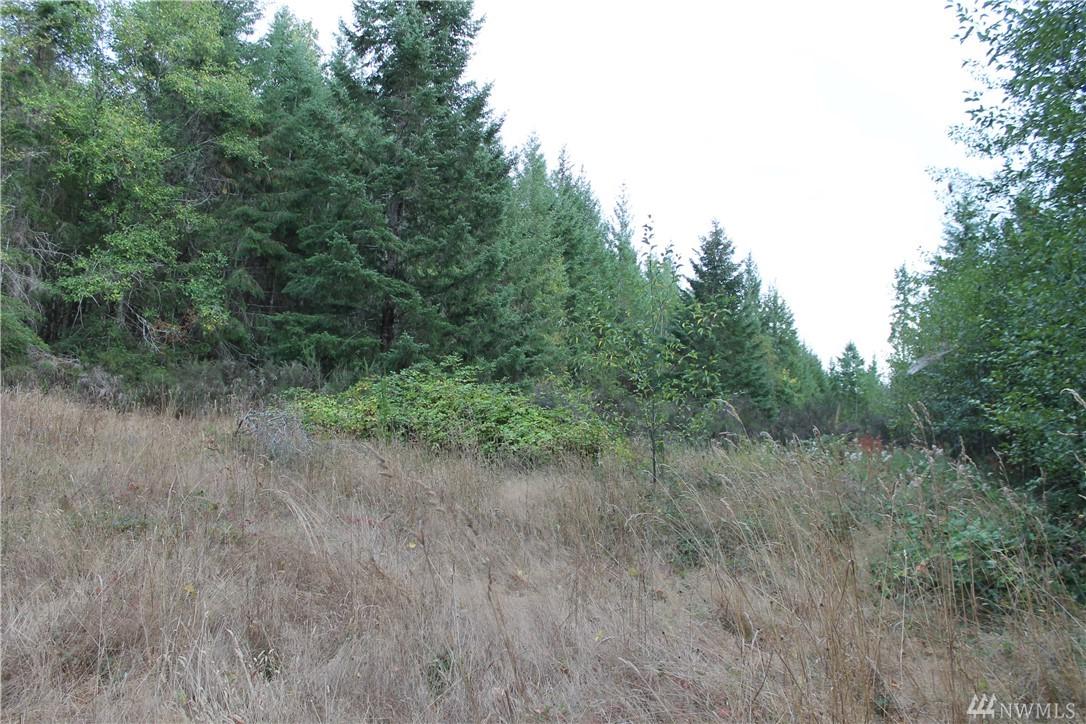 1-Acre Olde Bell Rd - Photo 1
