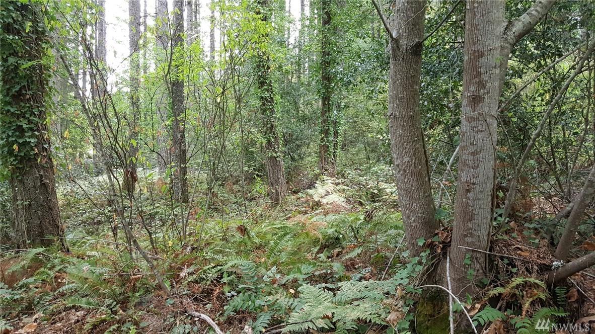 0 Anderson Hill Rd - Photo 1