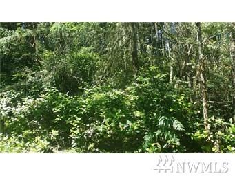10312 Matthews Way - Photo 1