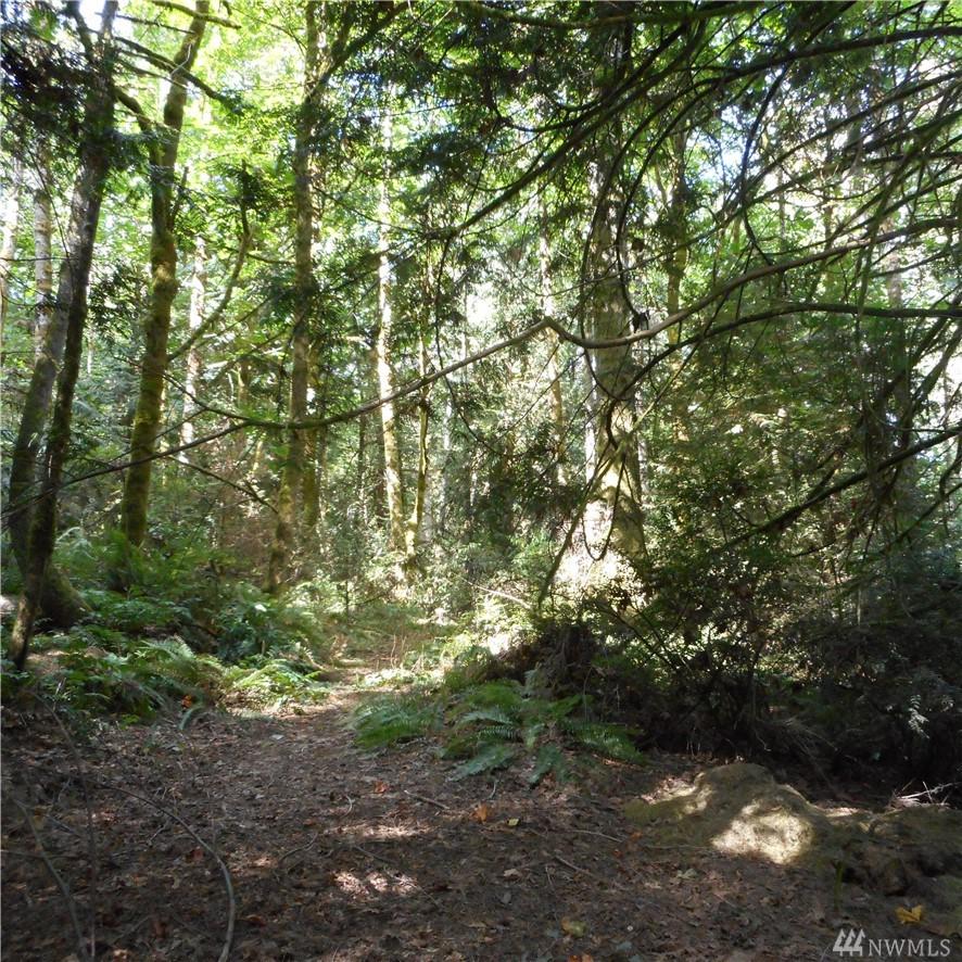 2-XXX Martin Ave - Photo 1