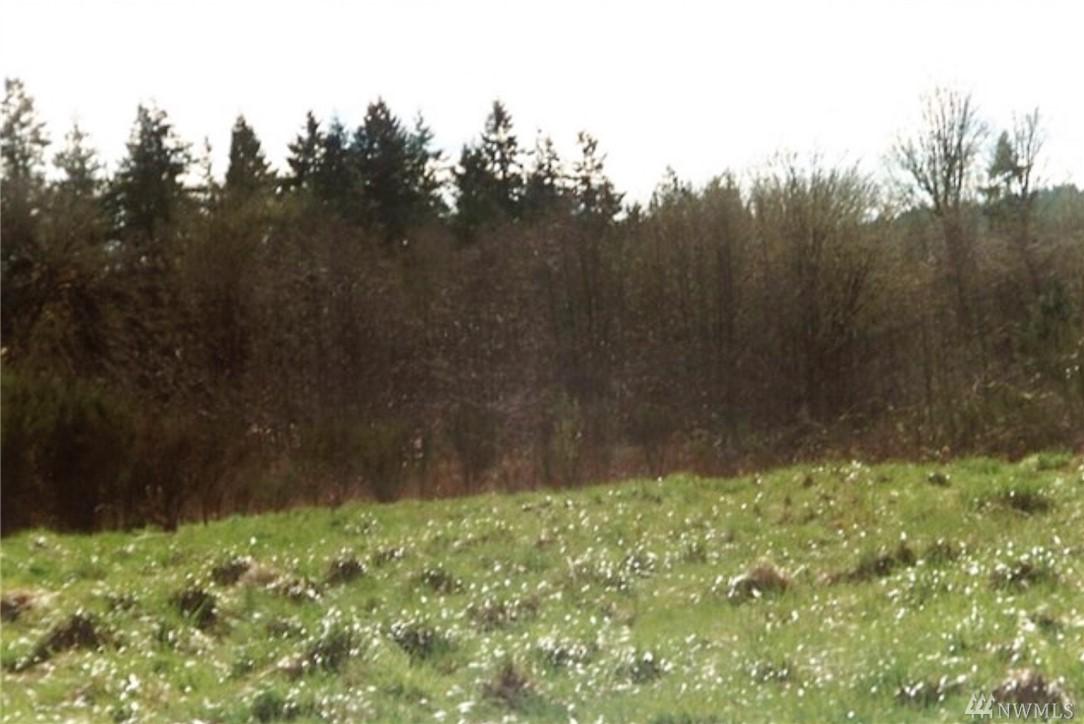 11705 Black Rd - Photo 1