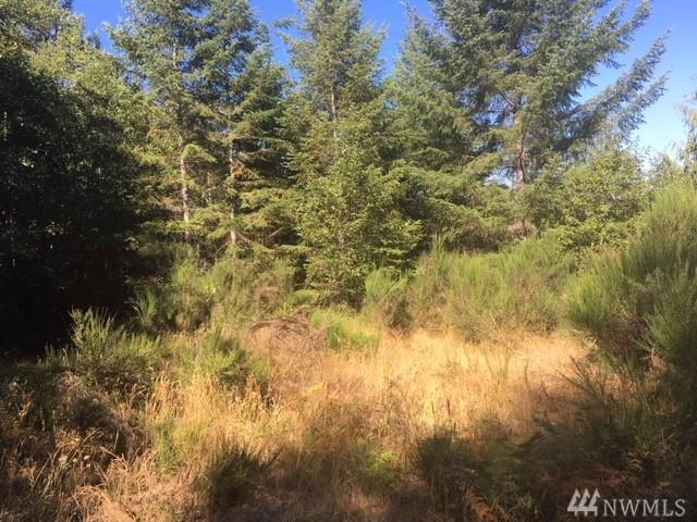 13255 Holly Rd - Photo 1