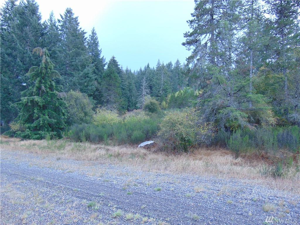 0-6.5Acres Capital Prairie Rd - Photo 1