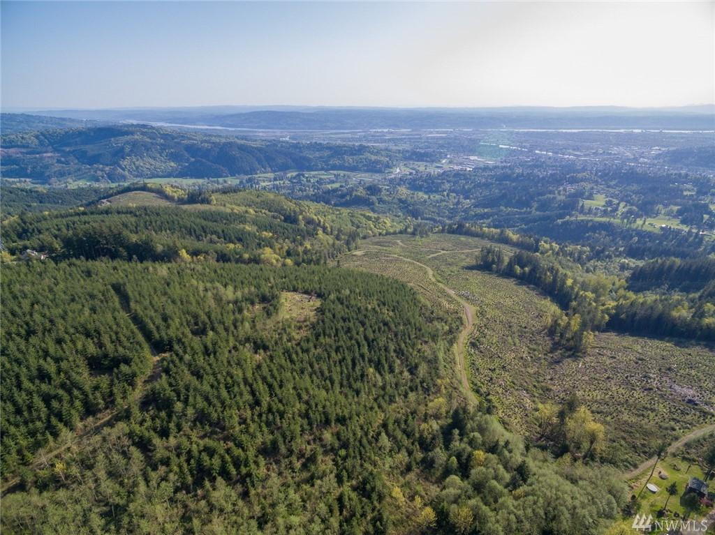 0 Mt. Brynion Rd - Photo 1