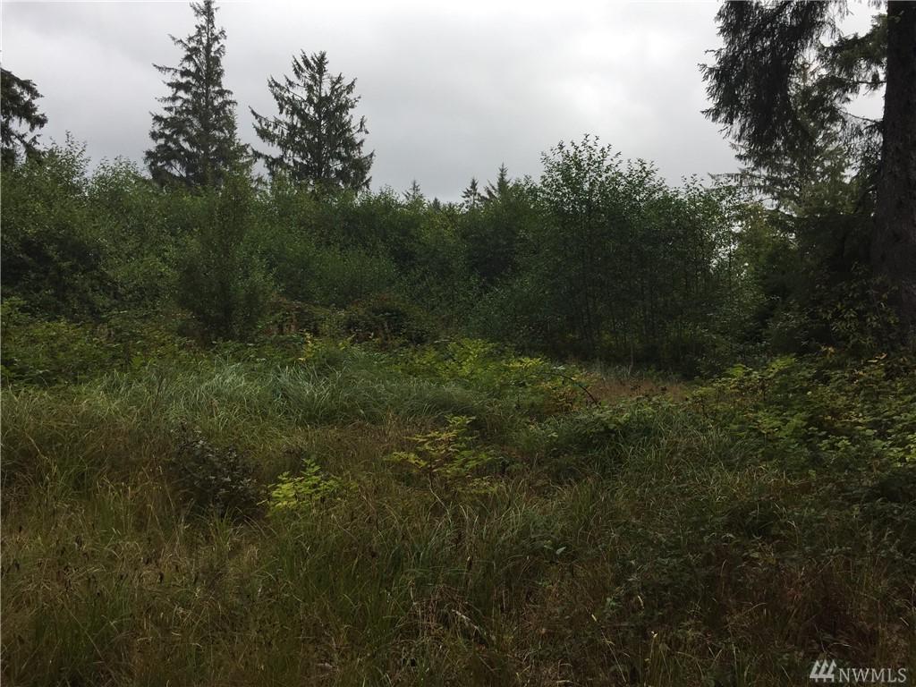 155-xx Birch St - Photo 1