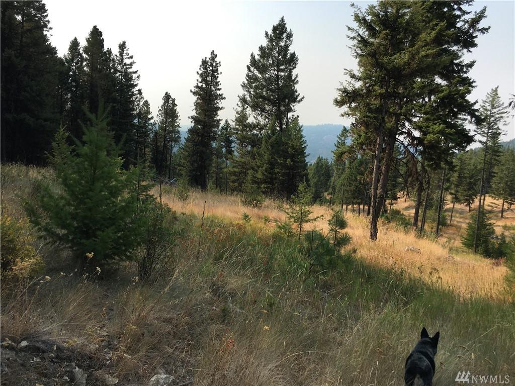12345 Taylor Rd - Photo 1