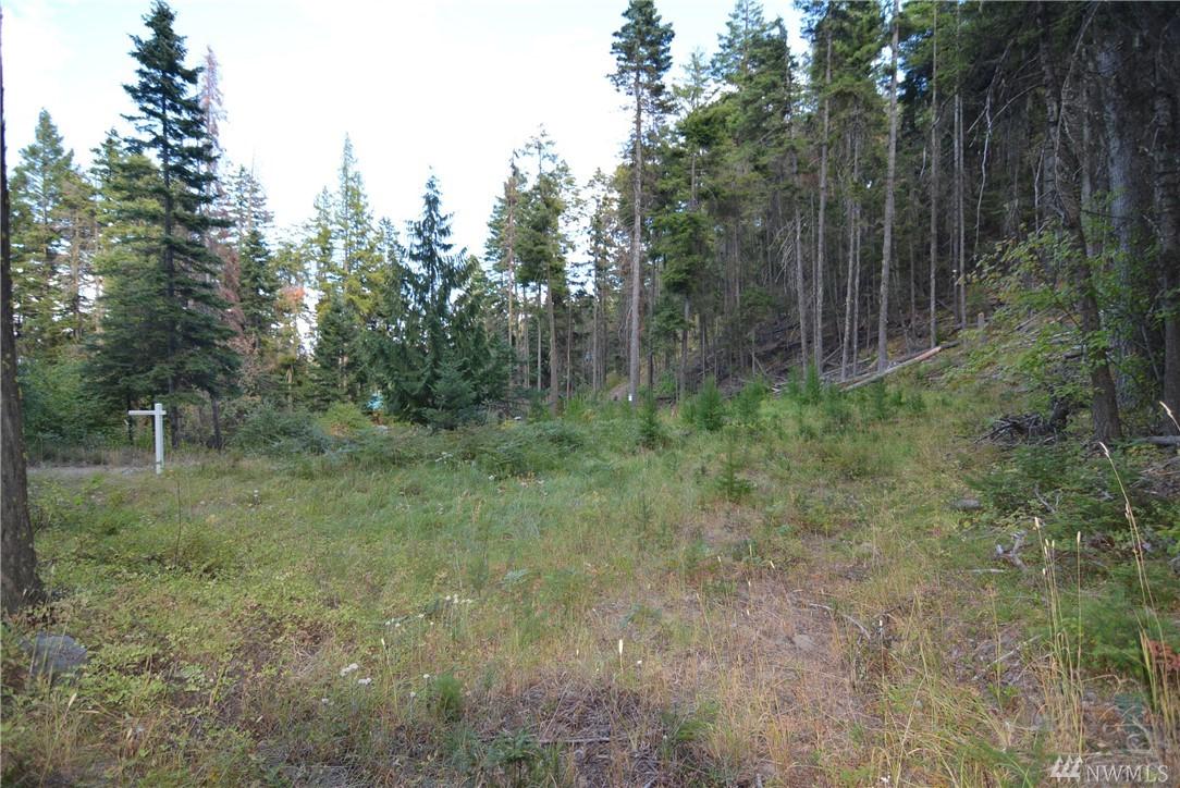 0-Lot 44 Two Springs Rd - Photo 1