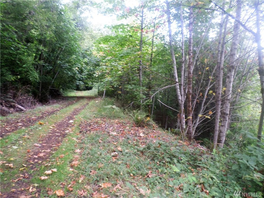 0 Maple Lane - Photo 1