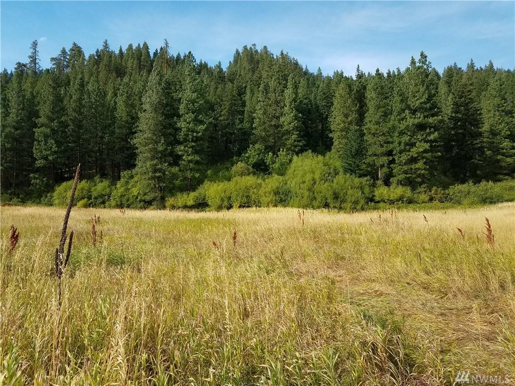 18230 Chumstick Hwy - Photo 1