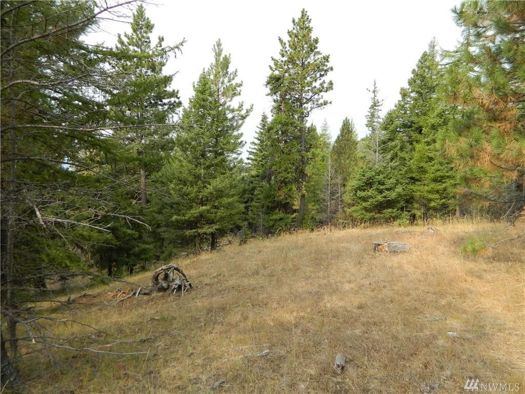 111 Tbd High Country Dr - Photo 1