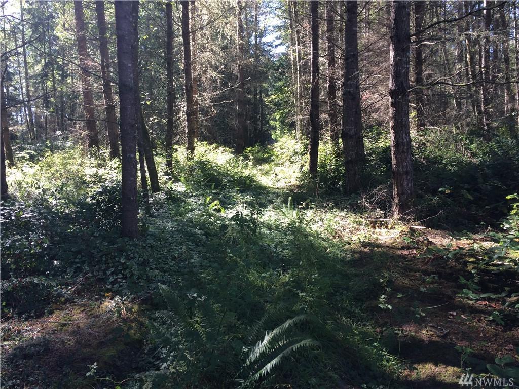 0-1024 Evergreen Lane - Photo 1