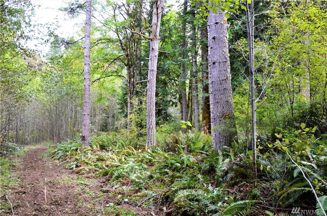 10000 Center Rd - Photo 1