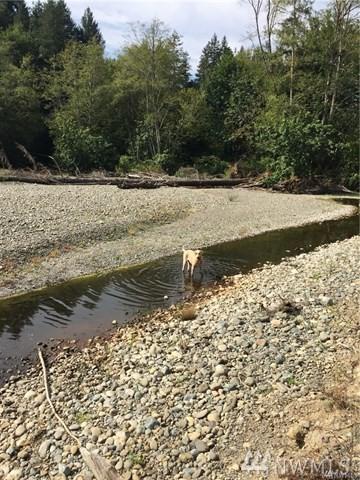 0 River Rd - Photo 1