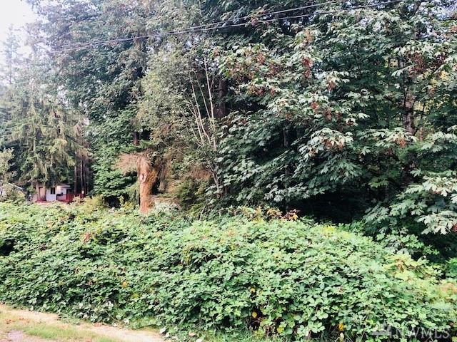 14872 206th Ave - Photo 1