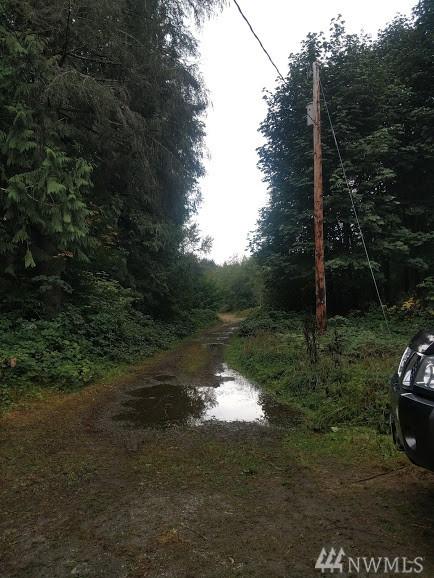 7037 Powerline Rd - Photo 1