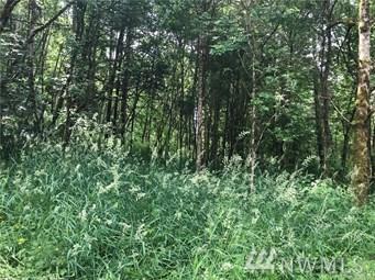0 Cris Rd - Photo 1
