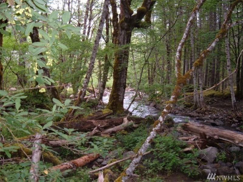 0 Lake Creek Dr - Photo 1