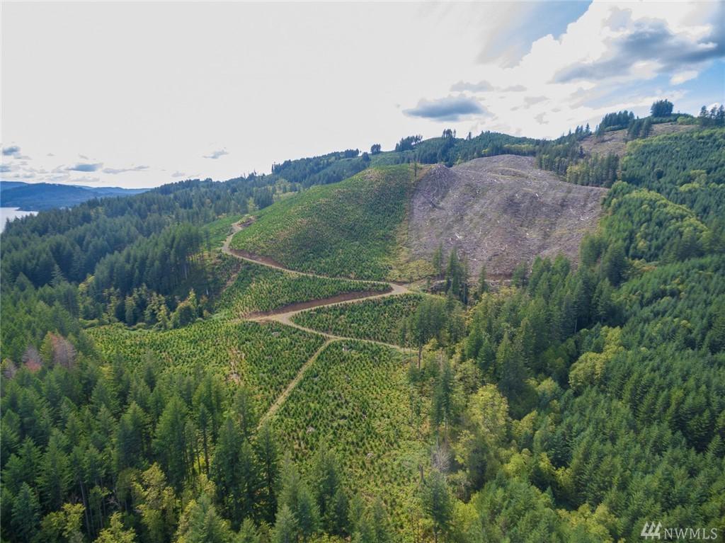 0 Lewis River Rd - Photo 1