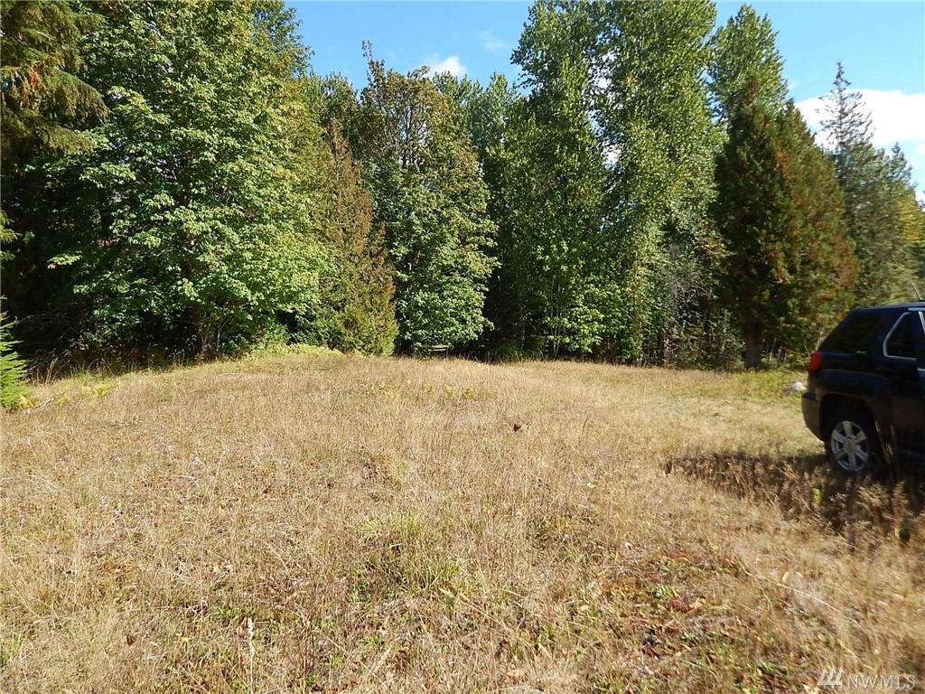 0-Lot 5 Y Rd - Photo 1