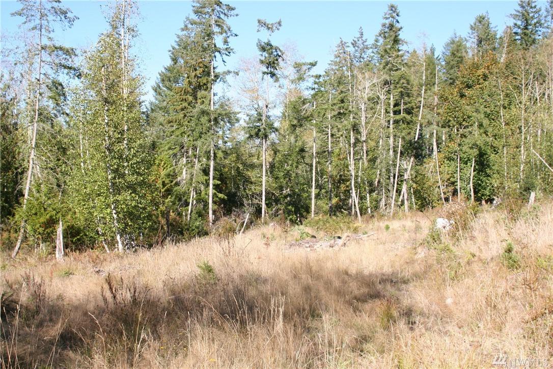 35 Go Onna Rd - Photo 1