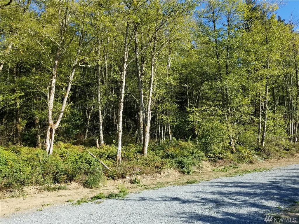 25821 96th Ave - Photo 1