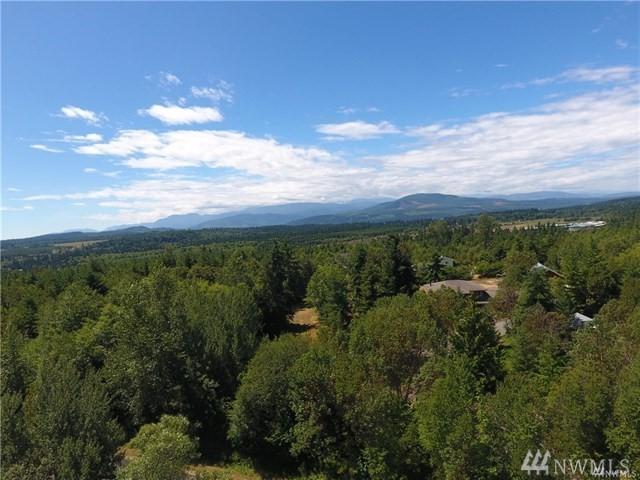 0-Lot 8 Woodland Dr - Photo 1
