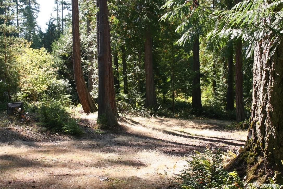 0 Tyee Lane - Photo 1