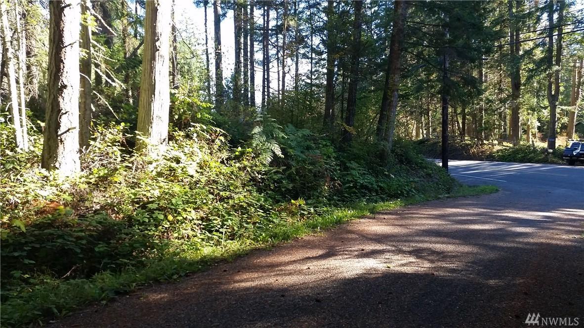 0 Snee-Oosh Rd - Photo 1