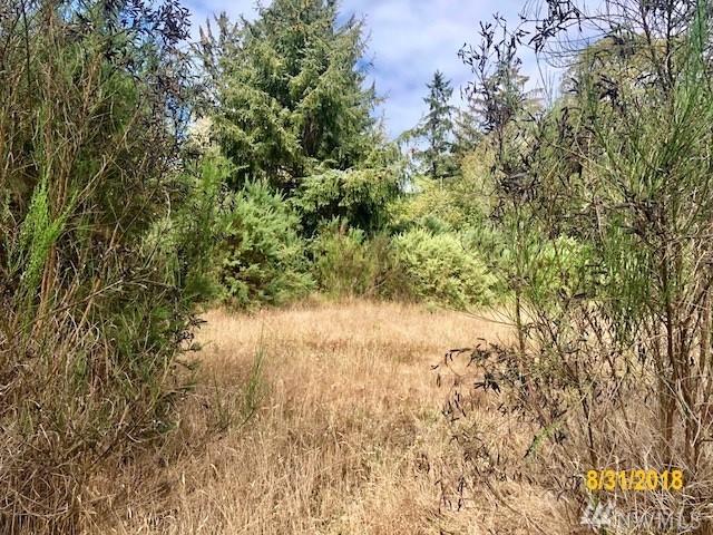 0 Espy Drive And Y Lane - Photo 1