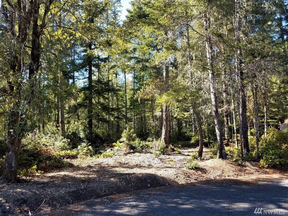 220 Blackberry Lane - Photo 1