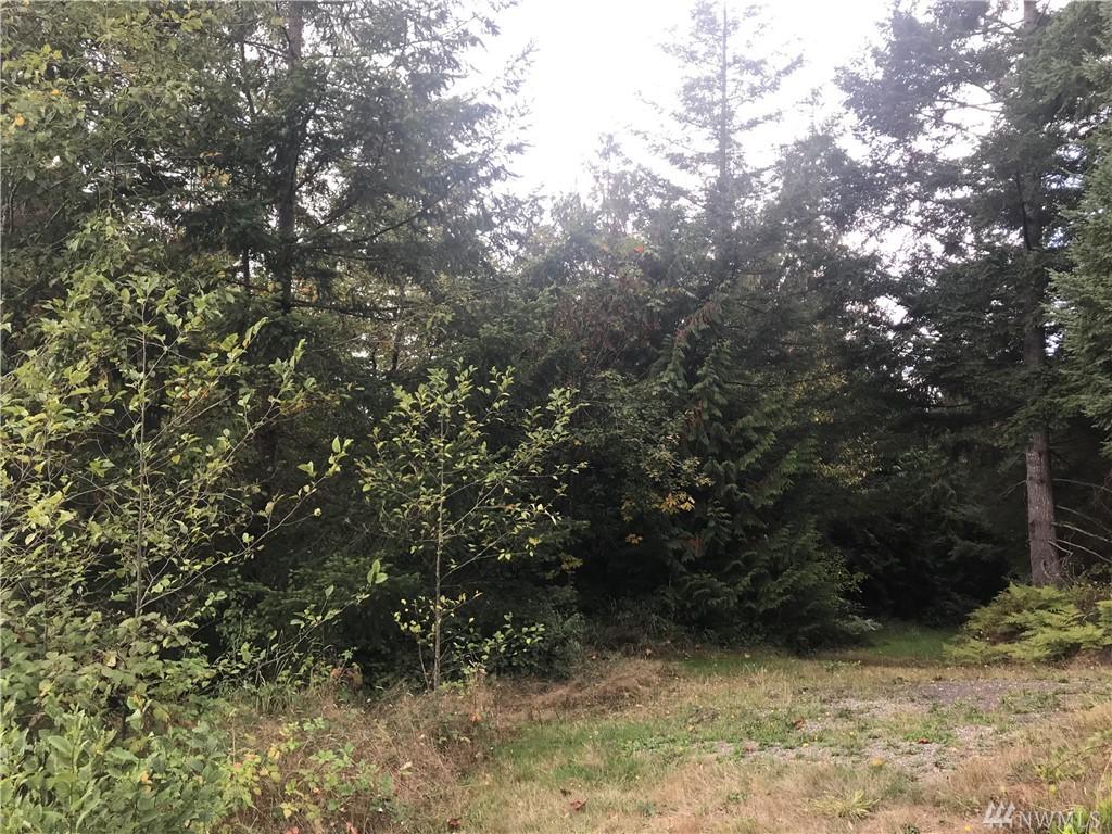 0 Kodiak Lane - Photo 1