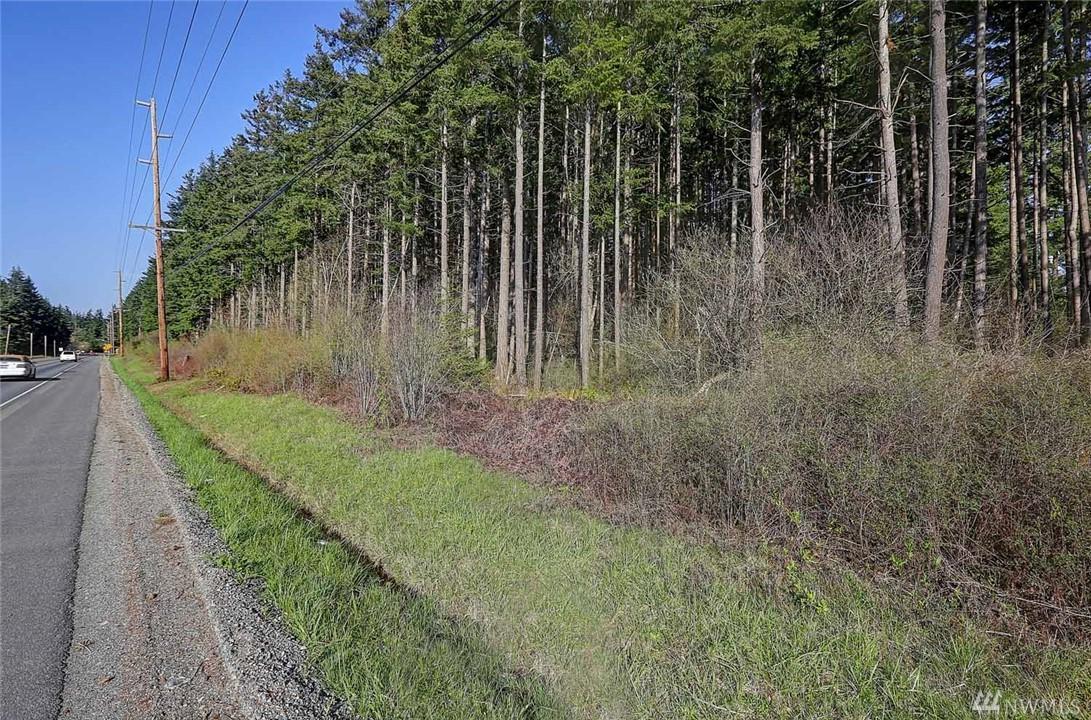0-Lot 15 Woodland Dr - Photo 1