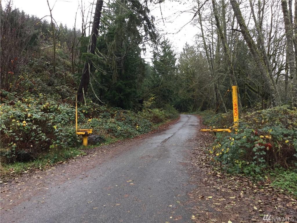 229-xx Scotty Rd - Photo 1
