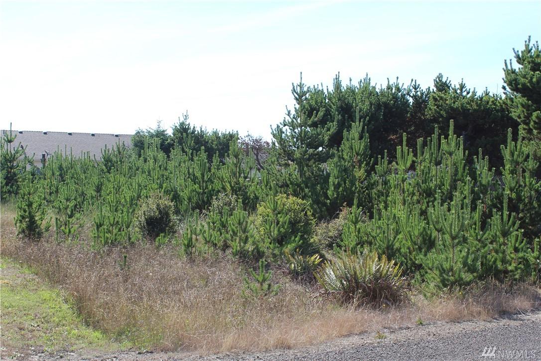 814 325th - Photo 1