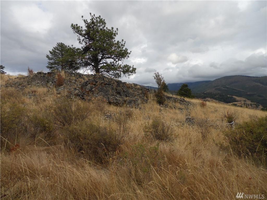 12345 Lambert Mountain Road - Photo 1