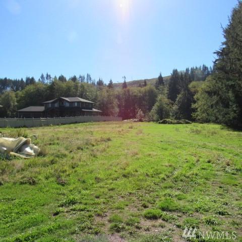 600 Elochoman Valley Rd - Photo 1
