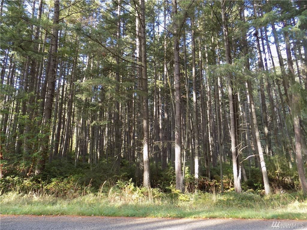 0-xxx Classic Rd - Photo 1