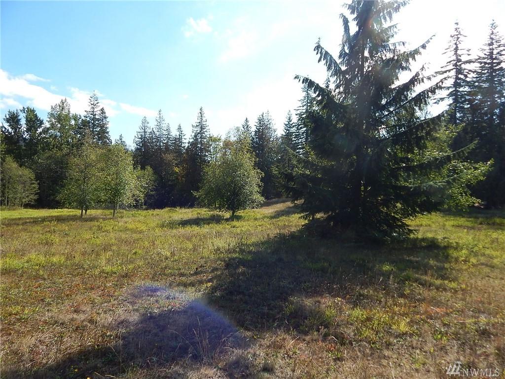0-Lot 4 Y Rd - Photo 1