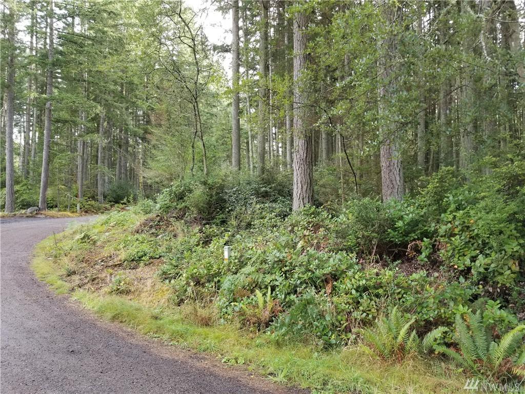 0 Pilchuck - Photo 1
