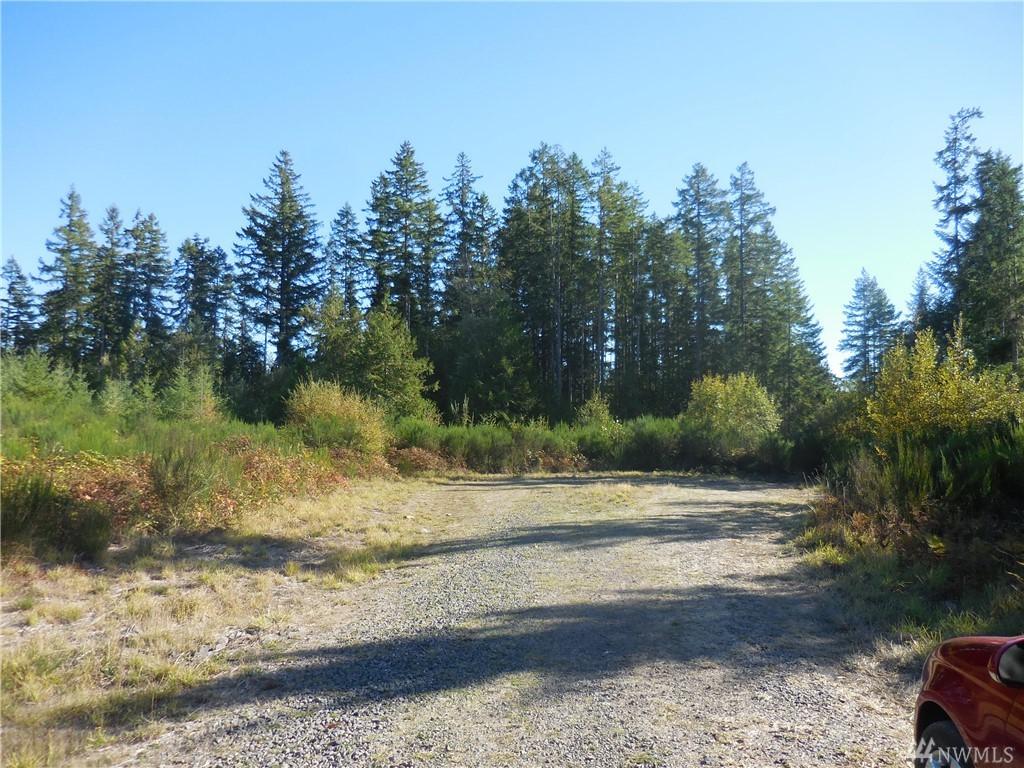 12614 Big Valley/Lot4raspberry Ridge - Photo 1