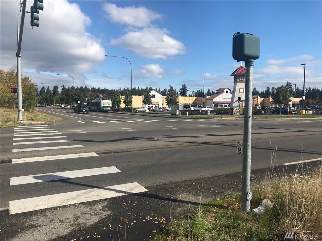 17041 Yelm Hwy - Photo 1