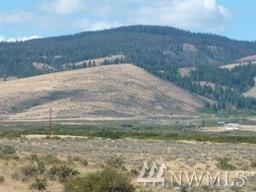 916336 Pheasant - Photo 1