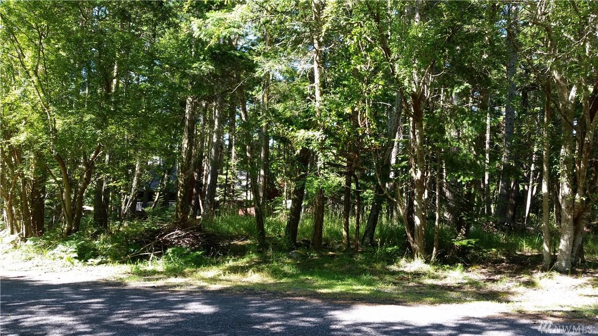 0 Island Drive - Photo 1