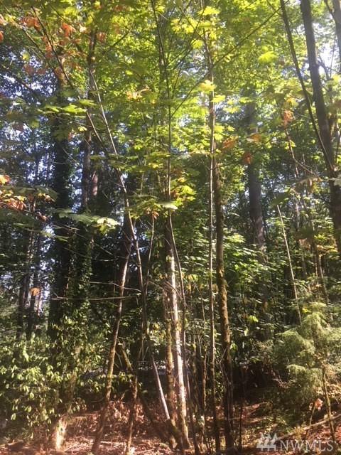 25057 Maple Valley-Black Diamond Rd - Photo 1
