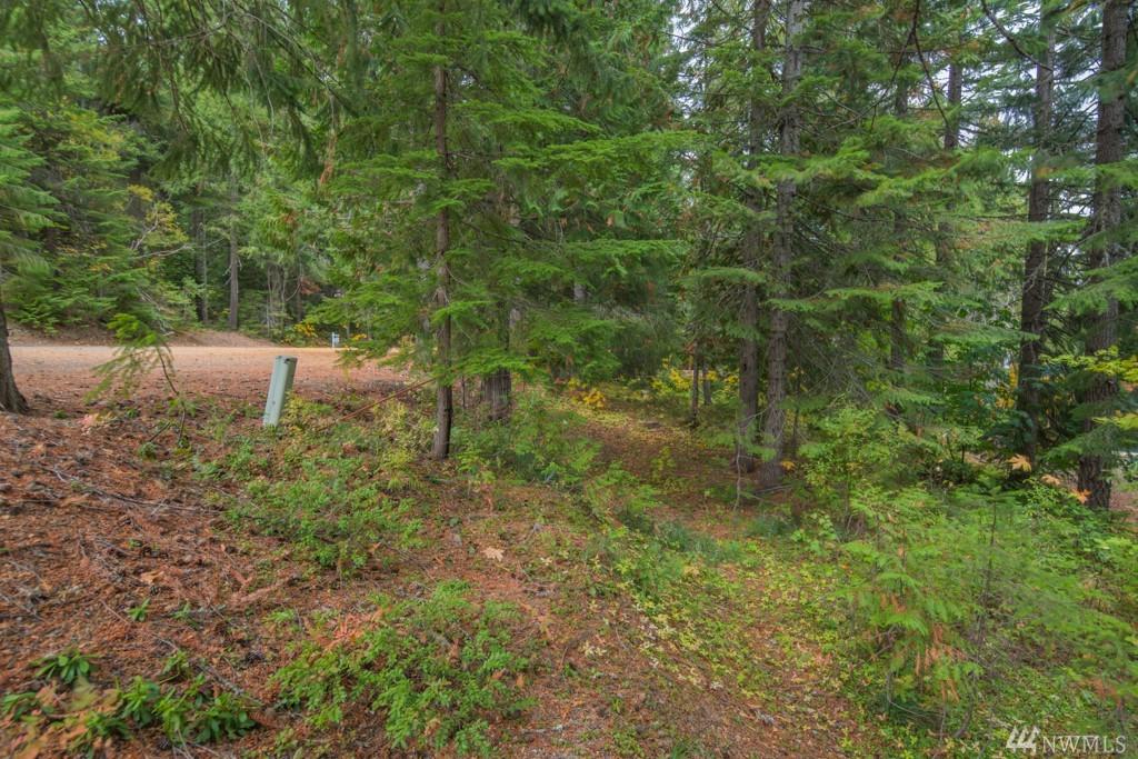 0 Via Kachess Rd - Photo 1
