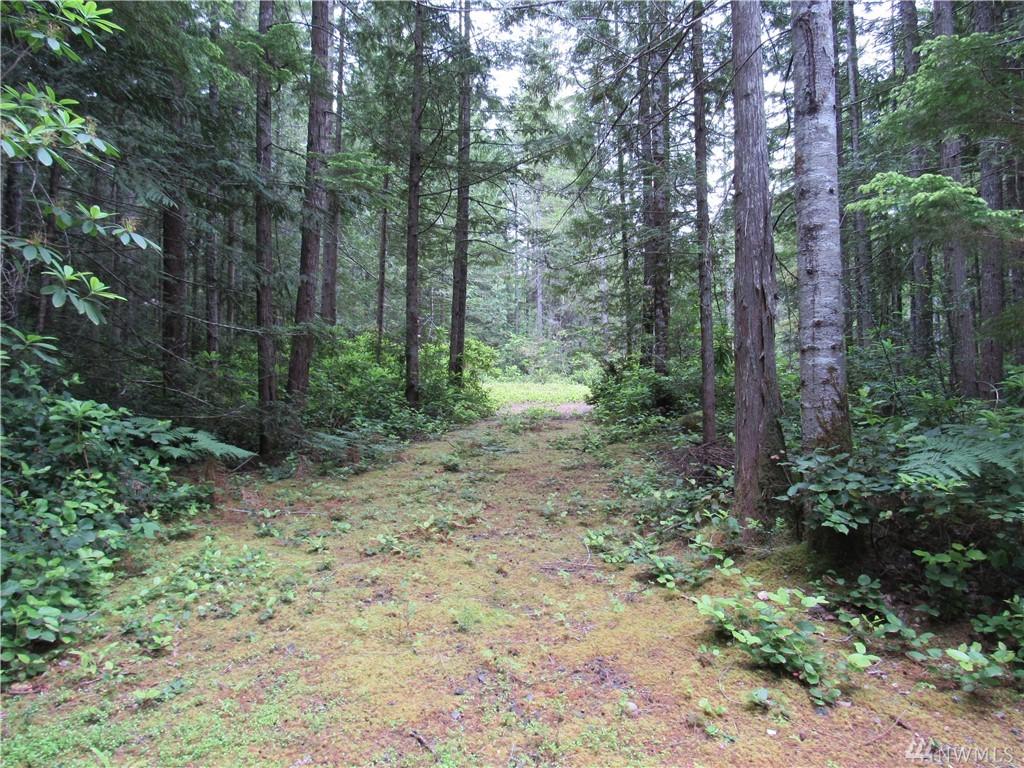 2-.53acres Morning Star Lane - Photo 1