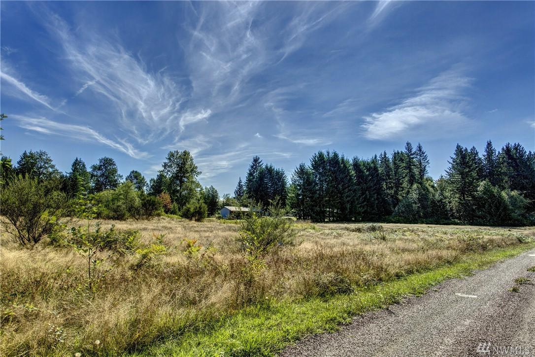 31017 Big Rock Rd - Photo 1