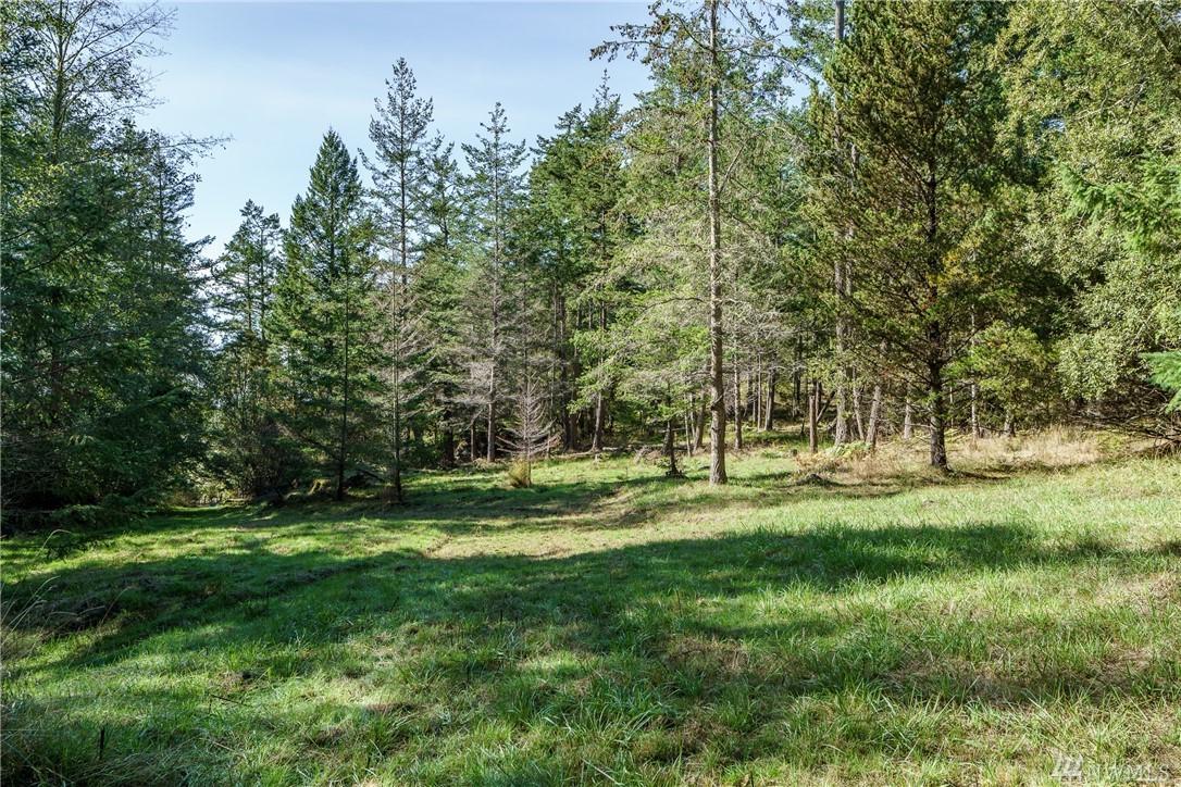 0 Lopez Sound Rd - Photo 1