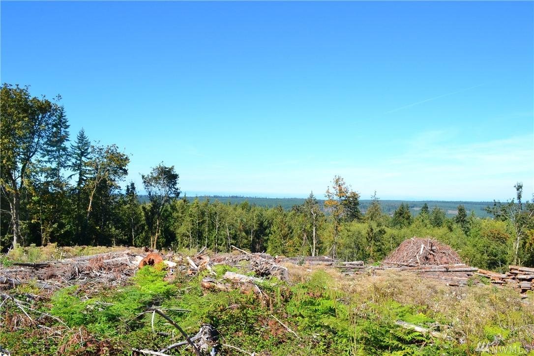 9999 Chicken Coop Rd - Photo 1